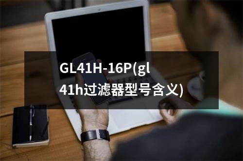 GL41H-16P(gl41h过滤器型号含义)
