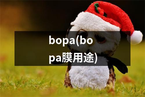 bopa(bopa膜用途)
